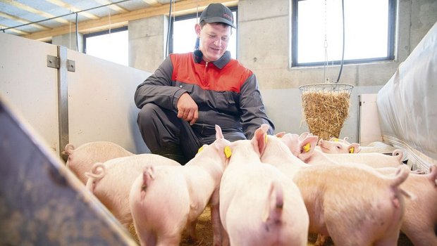 Kaspar Sigrist im neuen Schweinestall, wo emissionsmindernde und tierfreundliche Stallkonzepte realisiert wurden. 