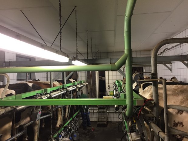 Ein Erdungskonzept gegen Streuströme im Stall An nicht isolierten Rohrkonstruktionen können Leiterschlaufen entstehen, wenn eine Spannungsdifferenz zwischen Speisepunkt und Erdungssystem besteht. Bild: ESTI
