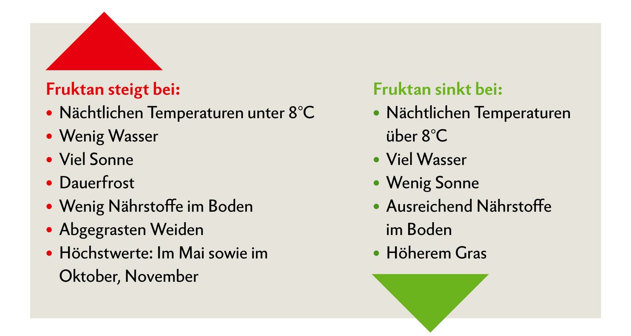 Fruktane dienen in Grashalmen, Kräutern, Wurzeln als kurzfristige Energie-zwischenspeicher. Im Übermass verzehrt, erhöht Fruktan die Gefahr von Hufrehe. Grafik: Doris Rubin