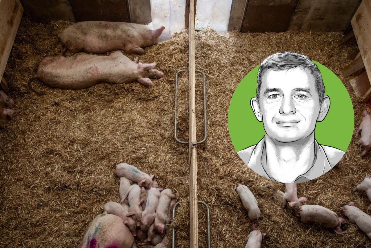 Peter Spring, Dozent für Schweinefütterung und Leiter der Abteilung Agronomie BFH-HAFL. (Bild «die grüne» / Pia Neuenschwander & Bruno Muff)