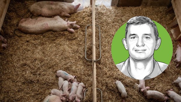 Peter Spring, Dozent für Schweinefütterung und Leiter der Abteilung Agronomie BFH-HAFL. (Bild «die grüne» / Pia Neuenschwander & Bruno Muff)