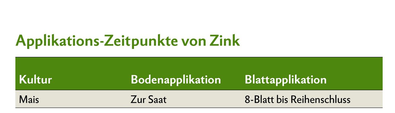 Applikations-Zeitpunkt von Zink bei Mais.