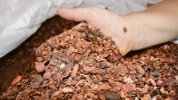 Pro Tier und Tag verfüttern Sigrists ein Kilogramm Kakaoschalen. Vom Schokoladenduft schmeckt man in der Futtermischung nichts mehr. Die Generationengemeinschaft Sigrist baute 2019 einen neuen Laufstall für ihre 80 Kühe.