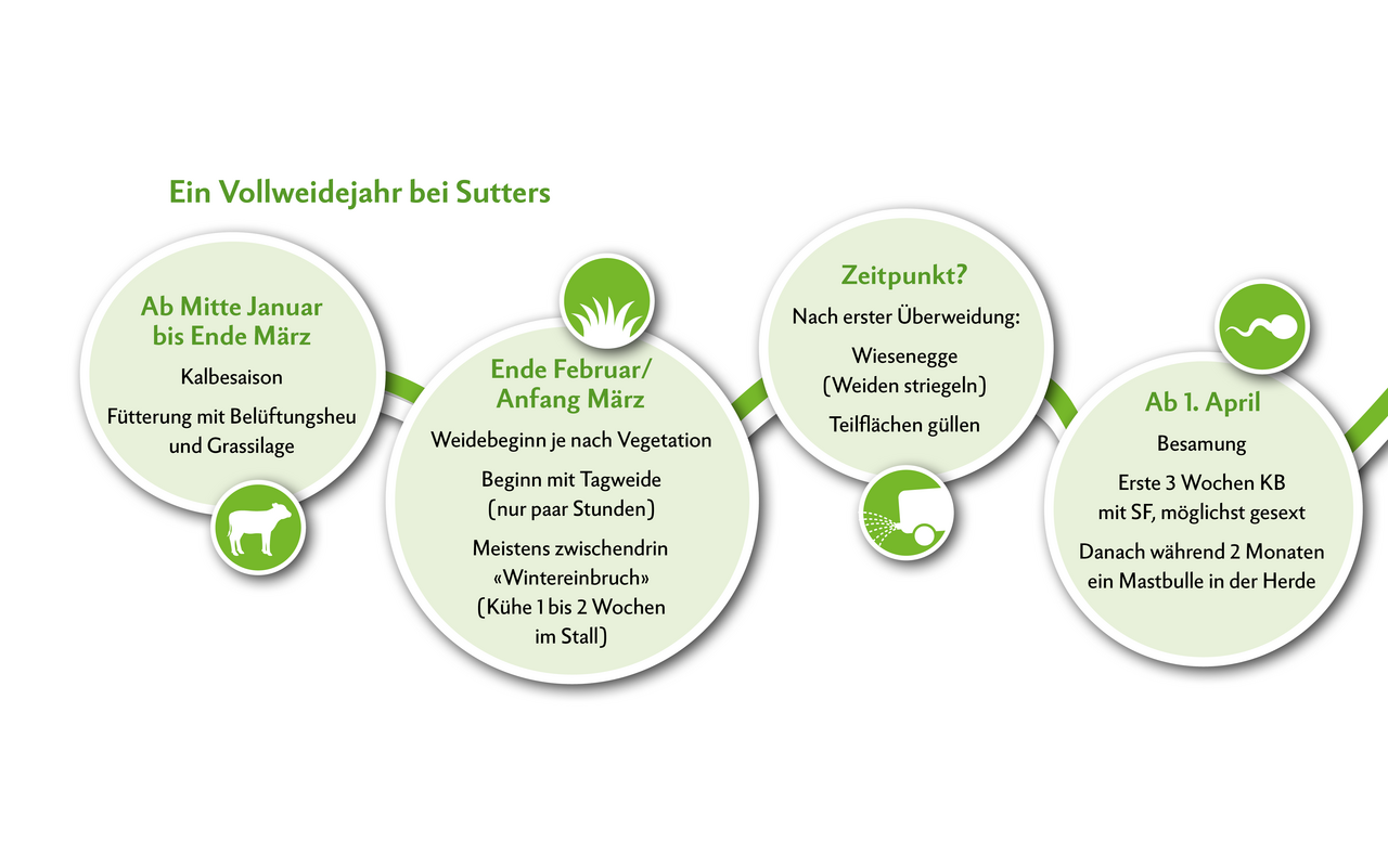 Jahreszyklus im Vollweidesystem