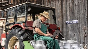 Landwirt sitzt auf Milchkannen und schreibt auf einem Notebook.