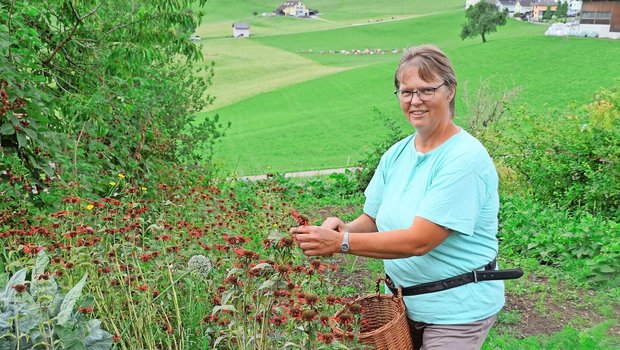 Silvia Bucher pflückt Goldmelisse, die sie später verarbeiten wird. Buchers Hof Burg liegt unweit des Dorfes Doppleschwand.