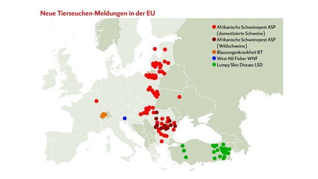 Die abgebildete Europa-Karte zeigt die neusten Tierseuchen-Meldungen von 31.10. bis 6.11.2019, von denen die grössten Gefahren ausgehen. Grafik: Doris Rubin