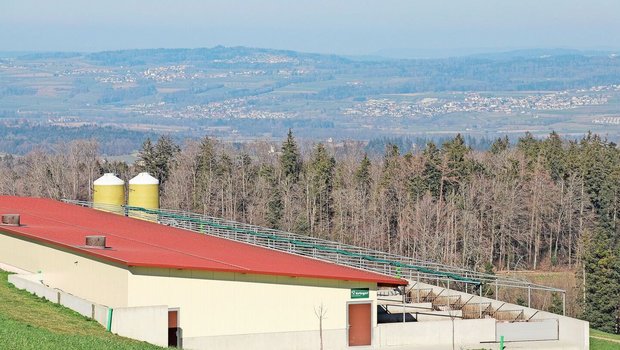 Investitionen in das Tierwohl: Der Bau von neuen Ställen dürfe nicht unnötig erschwert werden, fordert der Schweizer Bauernverband (SBV).  