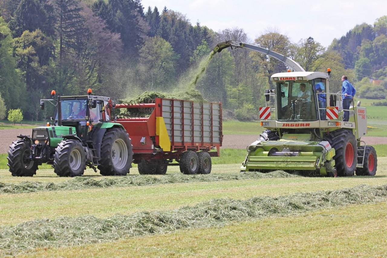 Anstelle der Ballenpresse wird das Gras gehäckselt und lose auf den Betrieb transportiert. Der Ballen-Auflad und Ballen-Transport ist nicht notwendig.Bild: zVg