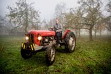 Massey Ferguson FE 35, der TraumTraktor von Silvan Blaser aus Hörhausen TG. Bild: Mareycke Frehner 