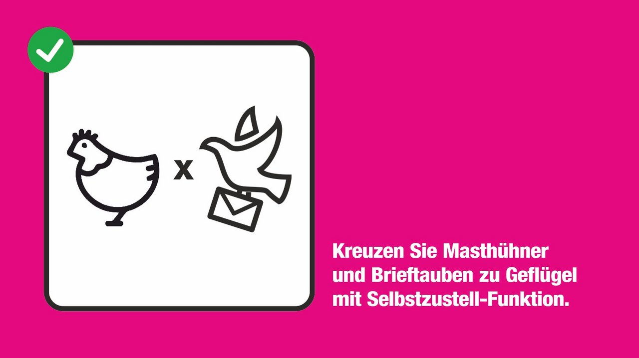 Neue Geflügel-Kreuzungen stellen Briefe zu. Cartoon: Marco Ratschiller / Karma