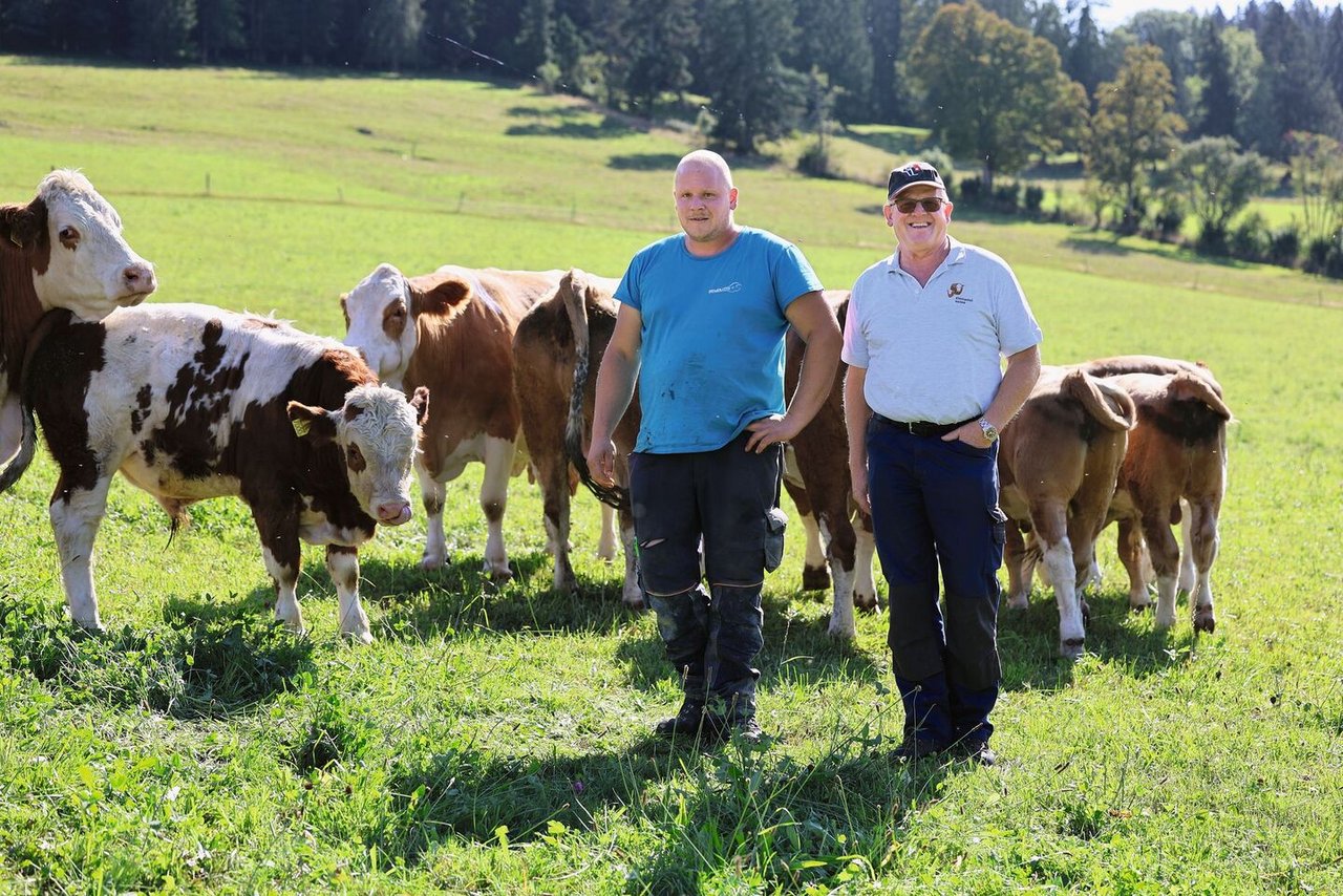 Jean-Jacques (links) und Jakob Fritz haben eine Auge für die Simmentaler.Ihr Verhalten und ihre Leistung auf der Weide liefern den Züchtern wichtige Infos.