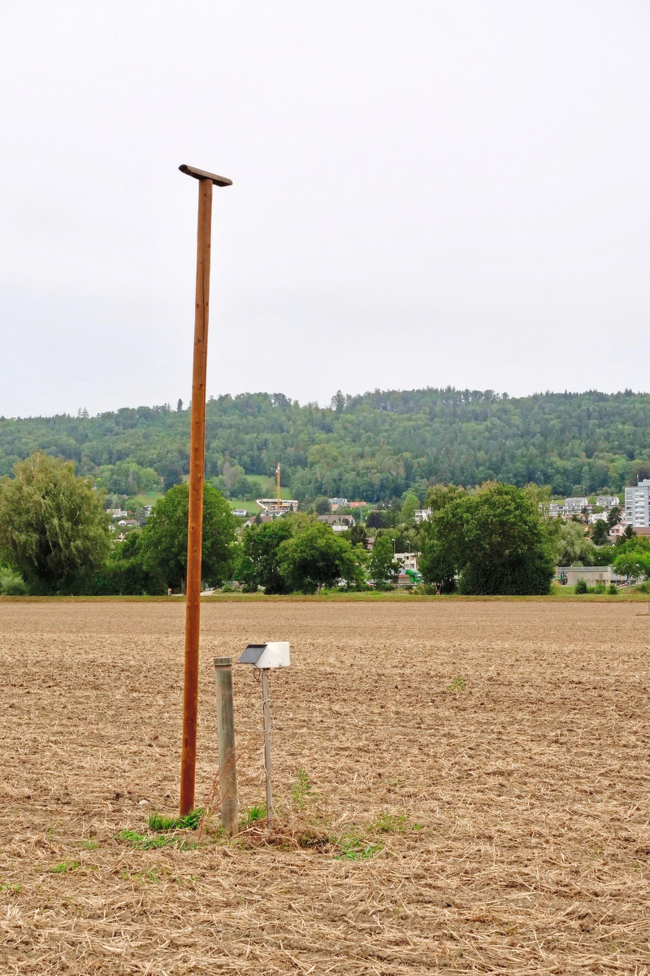 Kein zusätzliches Hindernis: Die Wetterstation auf der 15 ha-Parzelle steht direkt neben der Grundwasser-Messstelle und der Sitzstange der Greifvögel. Bild: Martina Rüegger