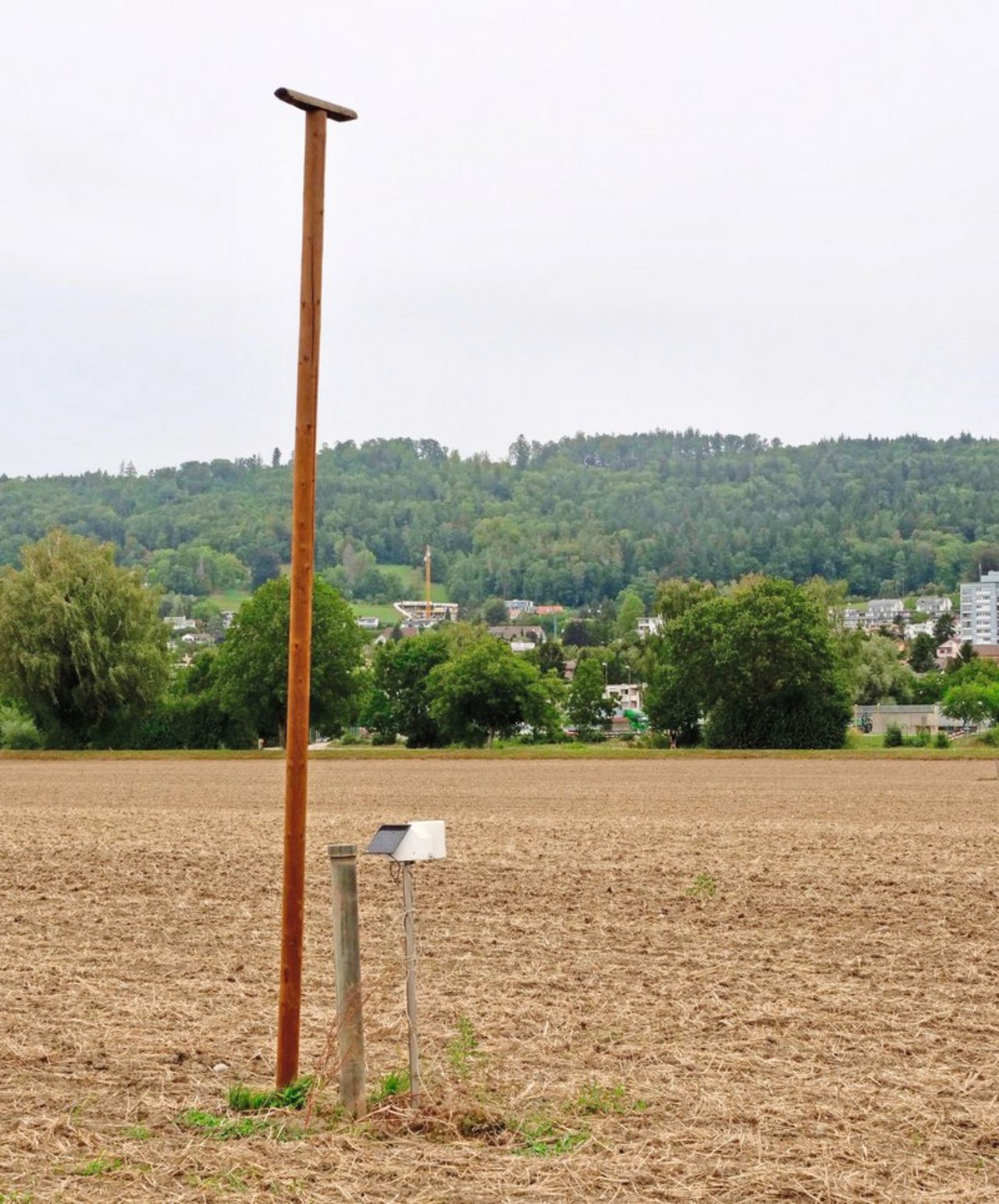 Kein zusätzliches Hindernis: Die Wetterstation auf der 15 ha-Parzelle steht direkt neben der Grundwasser-Messstelle und der Sitzstange der Greifvögel. Bild: Martina Rüegger