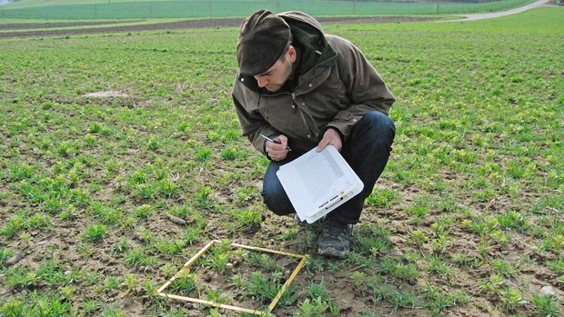 Beim Projekt «Farmer Beim Projekt «Farmer Science» führen LandwirtInnen eigene Experimente durch und werden dabei von FiBL-Forschenden unterstützt.