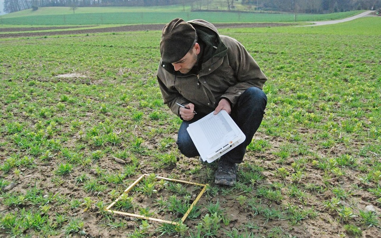 Beim Projekt «Farmer Science» führen LandwirtInnen eigene Experimente durch und werden dabei von FiBL-Forschenden unterstützt.