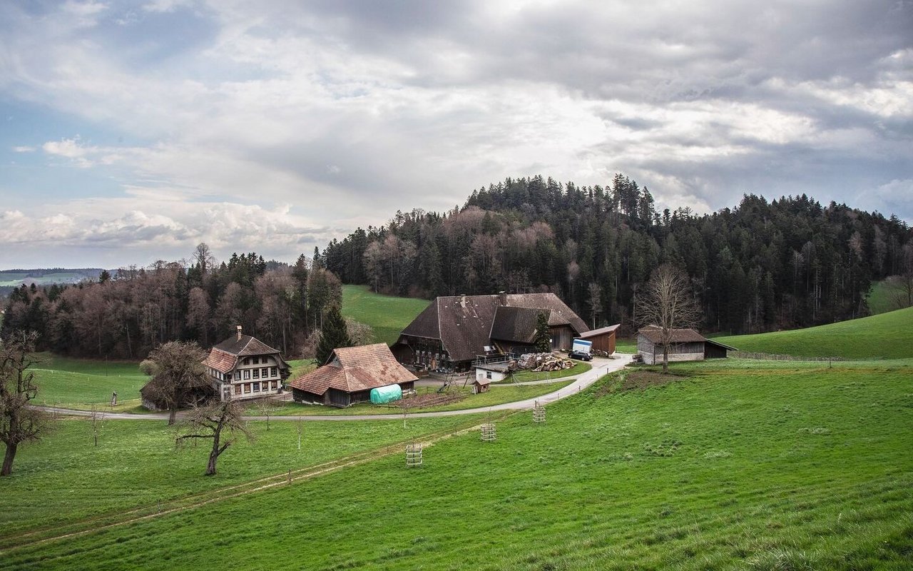 Sicht vom Hügel hinunter auf den Betrieb der Familie Leuenberger.