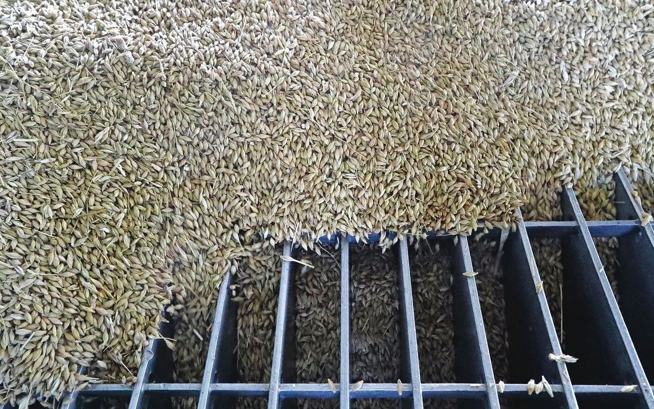 Das Jahr 2025 brachte wegen der aussergewöhnlich guten Ernte Herausforderungen für die Getreide-sammelstellen.