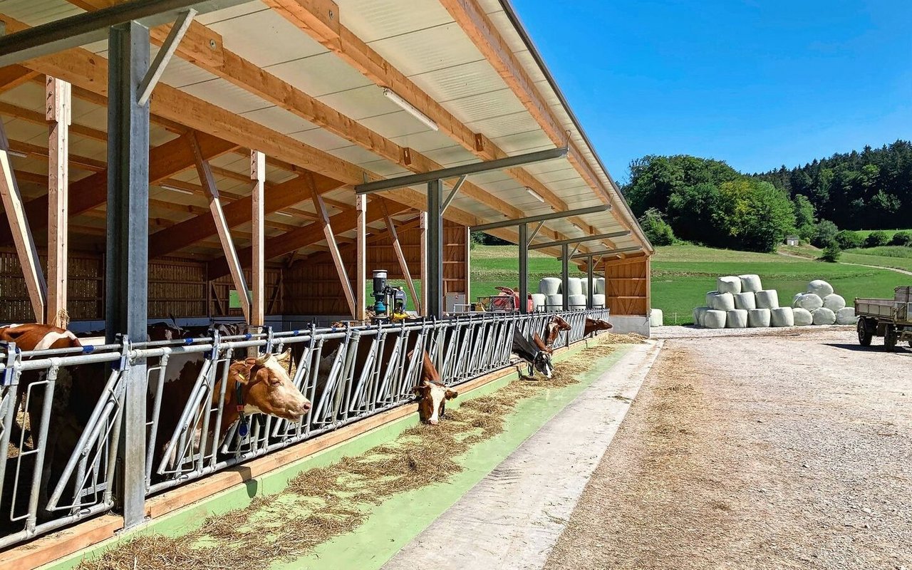 Bodenebene Futterachse als Risiko für Verunreinigung durch Hundekot.