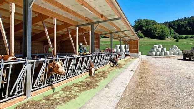 Bodenebene Futterachse als Risiko für Verunreinigung durch Hundekot.