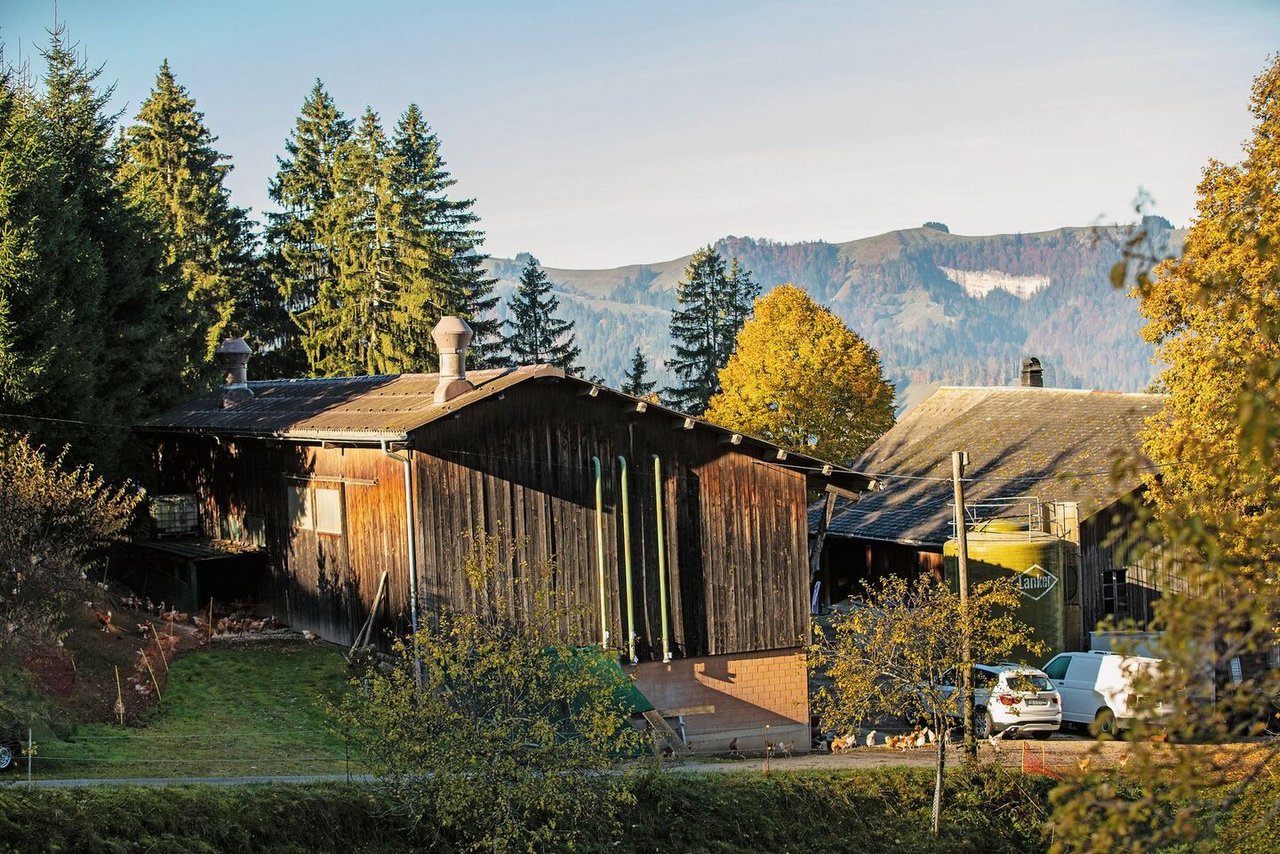 Stalders Hof liegt im Kanton Luzern – was ihm in Sachen Baubewilligungen einiges an Umtrieben beschert hat.