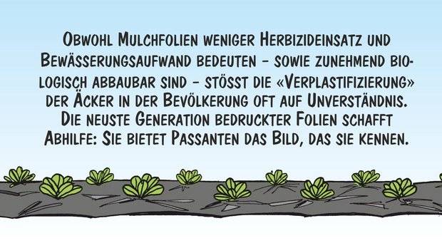 Mulchfolien stossen auf Ablehnung. Neue, bedruckte Folien schaffen Abhilfe. Cartoon: Marco Ratschiller/Karma