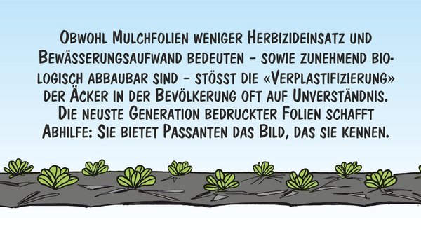 Furttal Single Börse
