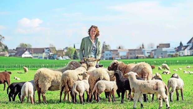 Die «Schafflüsterin» Silvana Rosenber inmitten ihrer Herde. 333 Lämmer wurden dieses Jahr auf dem Haulihof geboren. 