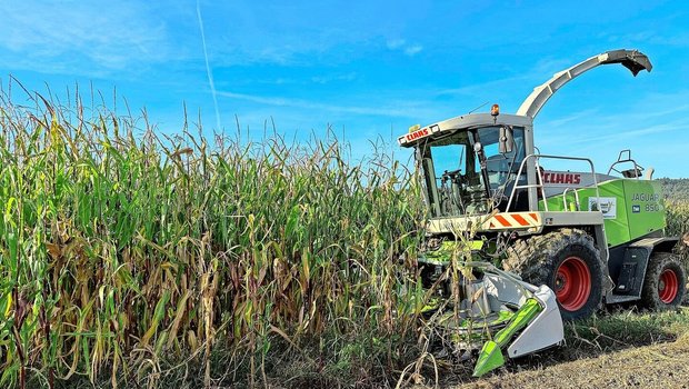 Silomaisernte im Kanton Luzern diesen Herbst: Die Kultur ist gefragt, die Anbauflächen steigen. Für den Anbau 2026 gelten aber je nach Kanton unterschiedliche Bedingungen. 