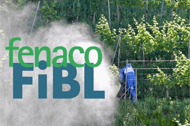 Fenaco und Bio-Forschungsinstitut FiBL starten Forschungskooperation FiBL und Fenaco starten Forschungskooperation für Pflanzenschutz. (Bildmontage: «die grüne» / Jürg Vollmer)