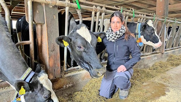 70 Kühe liefern Milch für Emmi – hauptsächlich Holstein. Im Stall ist die gelernte Landwirtin Sabrina Frauchiger täglich anzutreffen. Weil es zwei Ställe gibt, macht sie den einen, ihr Partner den anderen.  
