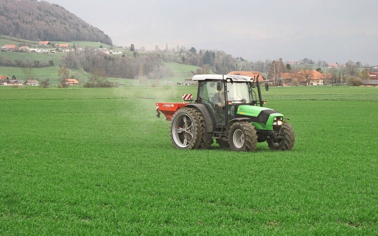 Wer den Weizen nicht überdüngt, schont Umwelt und Geldbeutel. 