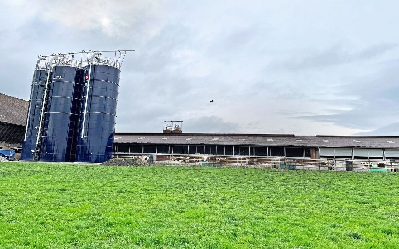 Ein Milchviehstall von aussen, mit zwei blauen Harvestore-Silos davor.