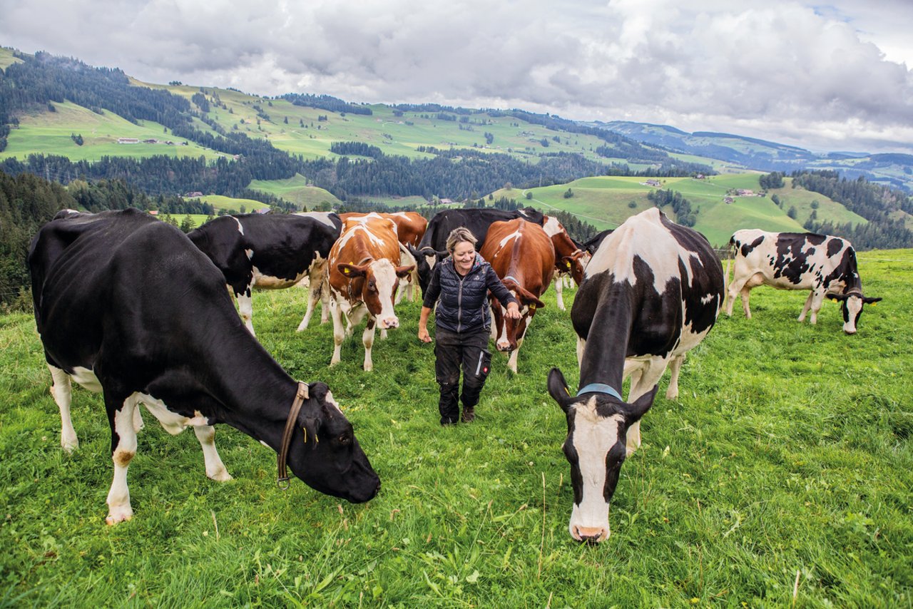 Bei schönem Wetter haben Anna Neuenschwanders Milchkühe Aussicht von Schangnau bis auf den Chasseral. Bild: Pia Neuenschwander