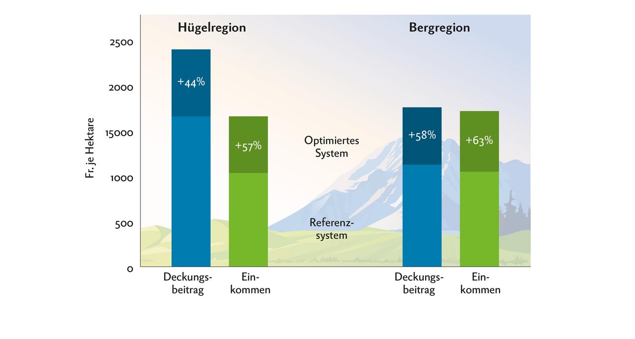 In den optimalen Lamm-Produktionssystemen sind der Deckungsbeitrag und das Einkommen wesentlich höher als bei den Referenzsystemen. Grafik: Doris Rubin