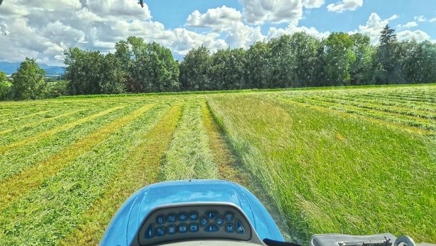 Wie im Ackerland kommt es auch im Futterbau zu Bodenverdichtungen. Die Belastung durch häufige Überfahrten und schweren Geräten sind eine Ertragsbremse. 