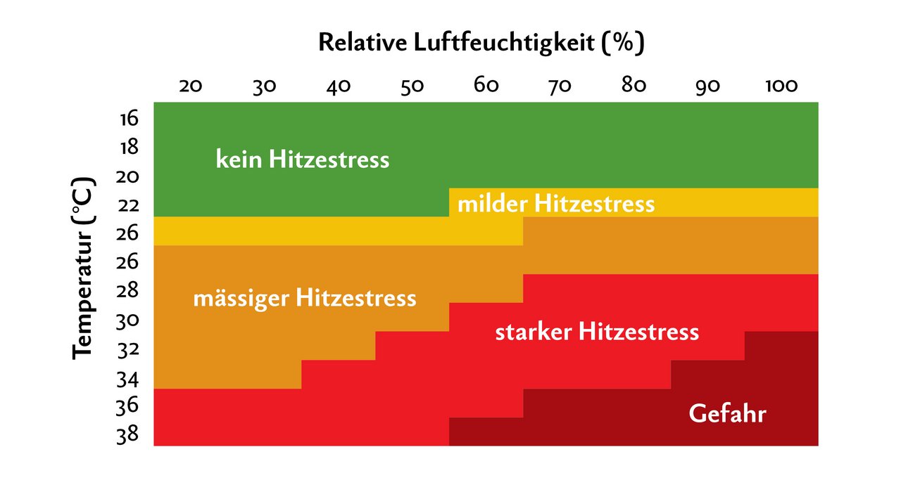 1. Hitzestress. Grafik: Nicole Geiser/Quelle: Thom/Zimbelmann und Collier