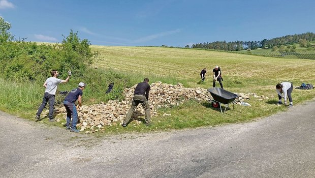Freiwillige im Natureinsatz im Jurapark: Bau einer Steinlinse für Reptilien auf dem Eichhof in Bözen.
