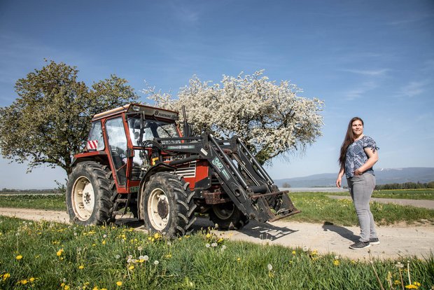 TraumTraktor: Fiat 80-90Dt von Tamara Stigt, Kallnach Tamara Stigts TraumTraktor ist der Fiat 80-90Dt. Bild: Pia Neuenschwander