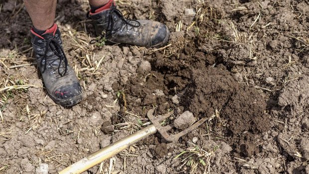 CO2-Zertifikate aus der Landwirtschaft Auf dem unbedeckten Boden liegt eine Spatengabel, daneben sind zwei paar Füsse in Arbeitsschuhen zu sehen.