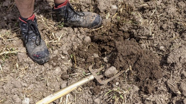 CO2-Zertifikate aus der Landwirtschaft Auf dem unbedeckten Boden liegt eine Spatengabel, daneben sind zwei paar Füsse in Arbeitsschuhen zu sehen.