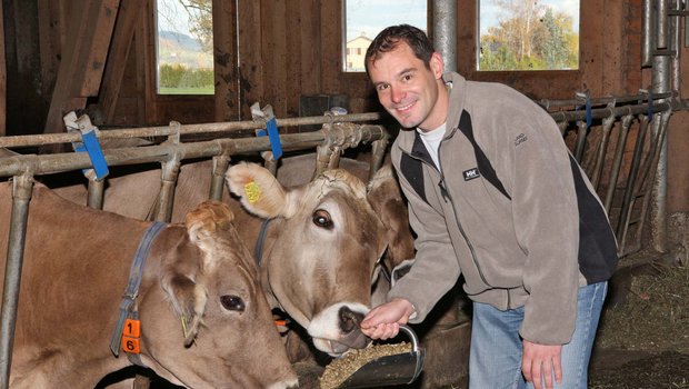 Patrick Eglis Maiswürfel sind bei den Kühen begehrt. (Bilder lid/zVg)