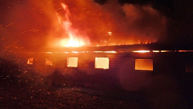 Wieder hat die Tierschutzorganisation Peta nach einem Stallbrand Anzeige gegen die Bauernfamilie erstattet. (Bild Kapo Thurgau)