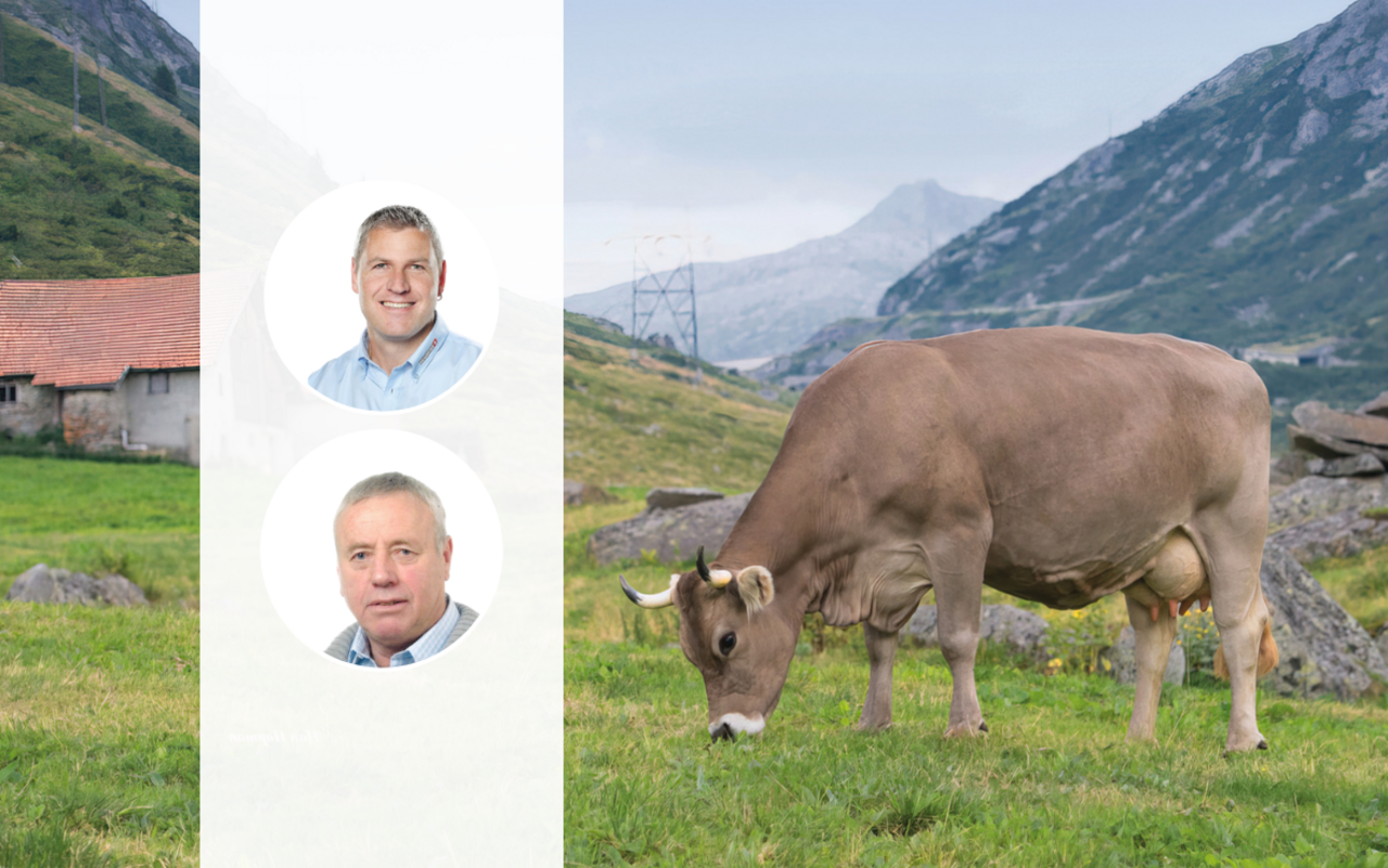 Die Porträt-Fotos von Andreas Anderegg und Martin Rust liegen über dem Foto einer braunen Kuh mit Hörnern, die auf der Alp weidet.