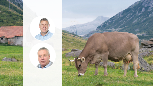 Die Porträt-Fotos von Andreas Anderegg und Martin Rust liegen über dem Foto einer braunen Kuh mit Hörnern, die auf der Alp weidet.