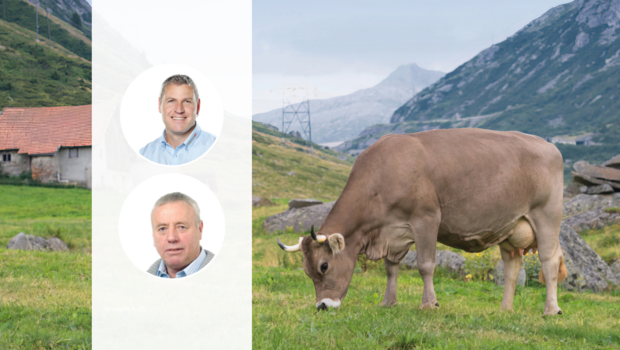Die Porträt-Fotos von Andreas Anderegg und Martin Rust liegen über dem Foto einer braunen Kuh mit Hörnern, die auf der Alp weidet.