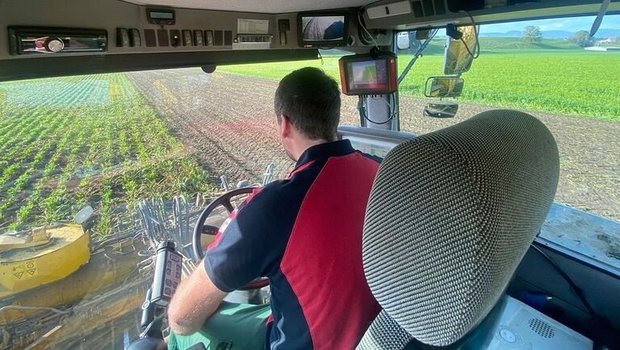 Auf dem Rübenroder: Trotz der aktuellen Flaute auf dem Weltmarkt lohnt sich der Anbau laut Schweizer Zucker AG nach wie vor.