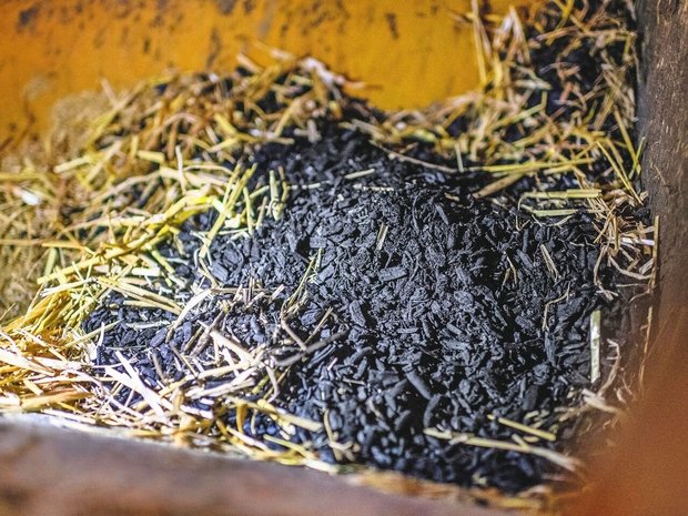 Nicht nur als Beigabe zum Futter, sondern auch im Einstreu bietet Pflanzenkohle gesundheitliche Vorteile: Ballen- und Klauenentzündungen kann so vorgebeugt werden. 