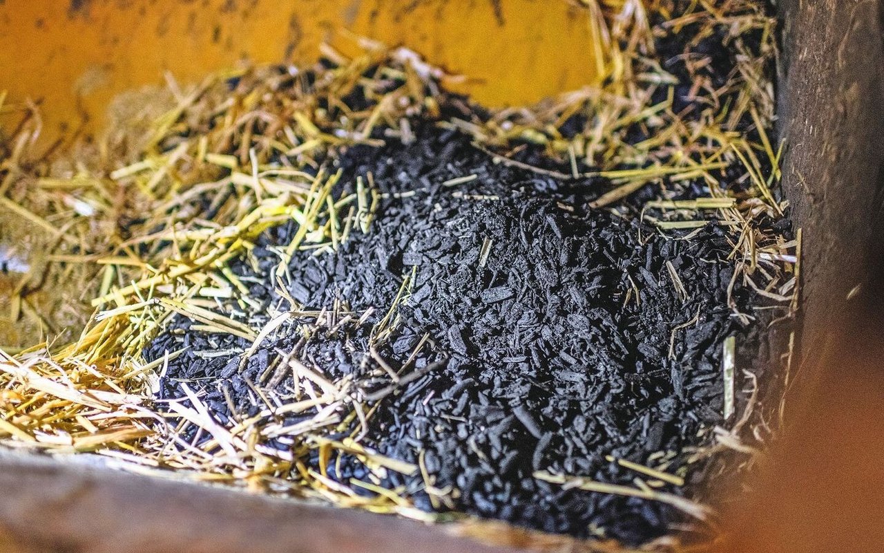 Nicht nur als Beigabe zum Futter, sondern auch im Einstreu bietet Pflanzenkohle gesundheitliche Vorteile: Ballen- und Klauenentzündungen kann so vorgebeugt werden. 