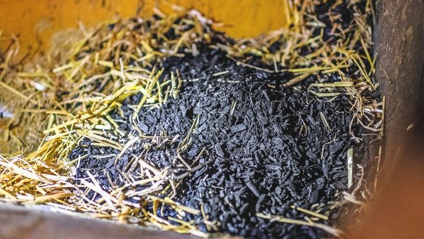 Nicht nur als Beigabe zum Futter, sondern auch im Einstreu bietet Pflanzenkohle gesundheitliche Vorteile: Ballen- und Klauenentzündungen kann so vorgebeugt werden. 